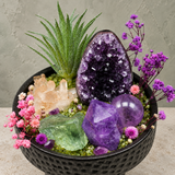 Violet Sanctuary Green Crystal Garden
