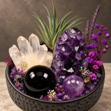 Violet Sanctuary Noir Crystal Garden