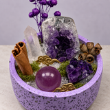 Violet Stillness Crystal Garden