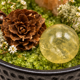 Woodland Abundance Crystal Garden