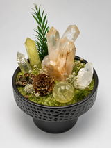 Woodland Abundance Crystal Garden