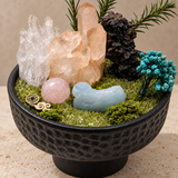 Woodland Wishes Crystal Garden