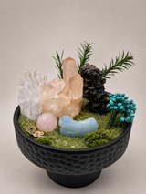 Woodland Wishes Crystal Garden